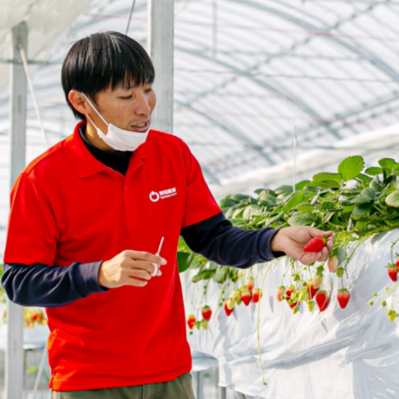 株式会社東馬場農園　代表取締役　東馬場怜司氏